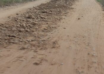 हुलाकी सडक खण्ड निर्माणमा लापर्बाही गर्ने ठेकेदारलाई निर्देशनालयको चेतावनी