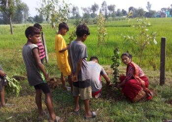 बेलडाँडीकी महिला नेत्री जोशीको पहलाम प्रत्येक सनिवार बृक्षारोपण