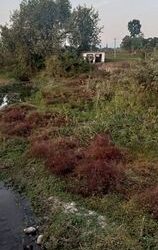 बेलडाँडी बेलौरी सीमामा रहेको भगवती मन्दिर जिण बन्दै, मन्दिरको बनाउन कसैको पुगेन ध्यान