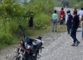 बेलडाँडी–दैजी सडकमा दिउँसै हात्तीको मुभमेन्ट, मानव बन्यजन्तुद्वन्द्व बढ्ने खतरा