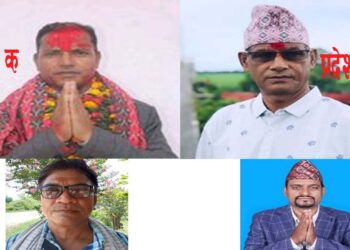 कञ्चनपुर क्षेत्र नं.१ क मा एमालेका थापा र ख मा कांग्रेसका बिष्टको अग्रता कायमै