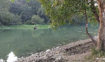 पुनर्वासमा रहेको प्याराताल संरक्षण र प्रवर्द्वनको पर्खाइमा