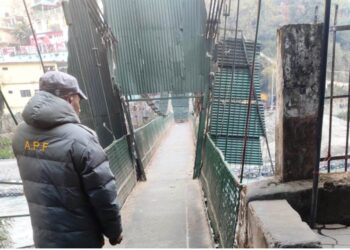 दार्चुलाको महाकाली नदीमाथिको सीमा पुल खुल्ला