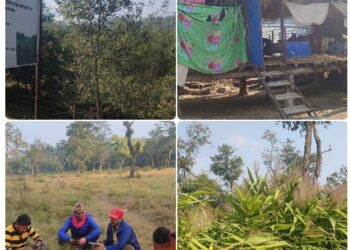 कञ्चनपुरमा मानव–वन्यजन्तुविच द्वन्द्व न्यूनिरकणका लागि यस्ता छन प्रयास