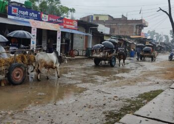 हिउँदे झरीका कारण जनजीवन प्रभावित, खरखडाईमा जानेलाई समस्या