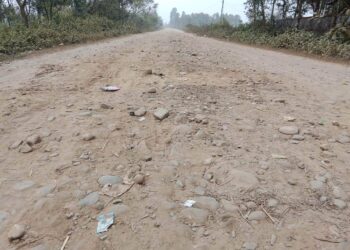 पुनर्वासमा सडक स्तरउन्नति गरिदिन बिद्यालयको माग