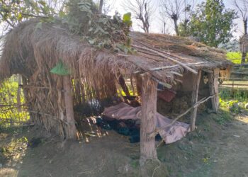 आरक्षपीडितका अगुवा खडकाको निधन, शितलहरले मृत्यु भएको आशंका