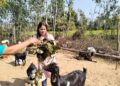 एयरहोस्टेज पढेकी द्रोपती कुँवर कृषि व्यवसायमा
