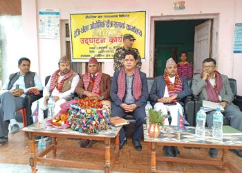 दैजी छेला औद्योगिक क्षेत्रमा सम्पर्क कार्यालय स्थापना