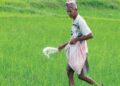 सरकारले बढायो अाज देखि रासायनिक मलको मूल्य,