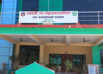 धनगढीका ६ विद्यालयको नतिजाः जहाँ ३ ३ जना मात्रै पास भए