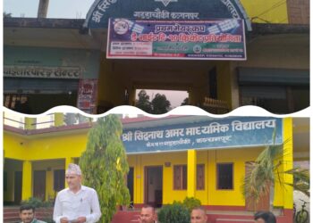 गड्डाचौकीमा प्रथम मेयर क्रिकेट प्रतियोगिता हुने