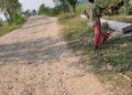 नेपाली भूमिमै विद्युतको लाईन विस्तार गर्दा एसएसबीको अवरोध