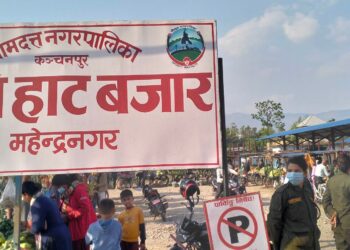 कृषि हाट बजार व्यवस्थापन गर्दै भीमदत्त नगरपालिका