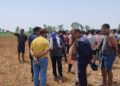 बेलाैरीमा बाघको अाक्रमण परि एक महिला बेपत्ता : बाघ नियन्त्रणका लागि माथीको अादेश पर्खदै प्रहरी