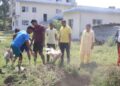 बेलडाँडी प्रहरीद्धारा अवैध कुखुरा बरामद गरी नष्ट