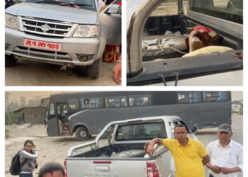 सरकारी साधनमा बोका बोक्दै दुरुपयोग भएको अवस्थामा भीमदत्तमा छोपिए बेलडाँडी गाउँपालिकाकी उपाध्यक्ष नाथ