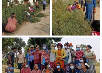 कालिकिच ताल क्षेत्रको बस्तीमा कञ्चन सामुदायिक विकास केन्द्रद्धारा सरसफाई