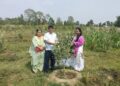 कैलालीमा पहिलो पटक व्यवसायीक रुपमा स्याउ खेती