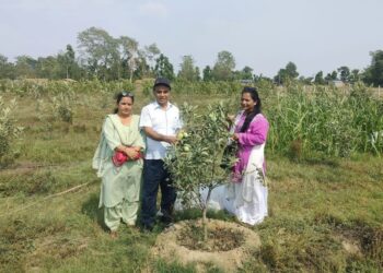 कैलालीमा पहिलो पटक व्यवसायीक रुपमा स्याउ खेती