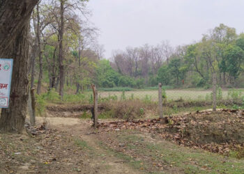 बढ्दो र्गमीका कारण कैलालीका सिमसार क्षेत्रका प्राकृतिक ताल सुक्न थाले