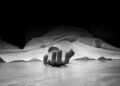 जंगली विषालु च्याउ खाँदा डडेल्धुरा एक जनाको मृत्यु