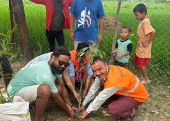 जय महाकाल युवा समुह बेलौरीद्वारा तिज विशेष कार्यक्रमको अवसरमा वृक्षारोपण