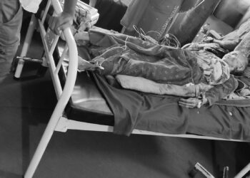 बेलाैरी ९ मा सर्पको टोकाईबाट एक वृद्धा महिलाको मृत्यु