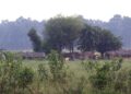 आरक्ष पडितको काम पुस महिना देखि शुरु गरिने