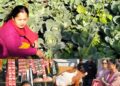 खल्लामछेट्टी दुर्गम गाँउबस्तीका महिला आत्मनिर्भर व्यवसाय तर्फ उन्मुख