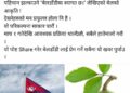 बेलडाँडी प्रवेश गर्नेहरुको मन प्रफुल्ल पार्न रास्वपा बेलडाँडीका युवा नेता जोशीको नौलो परिकल्पना