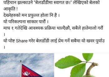 बेलडाँडी प्रवेश गर्नेहरुको मन प्रफुल्ल पार्न रास्वपा बेलडाँडीका युवा नेता जोशीको नौलो परिकल्पना