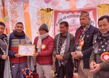 पुनर्वासका पत्रकार जोशी सम्मानित