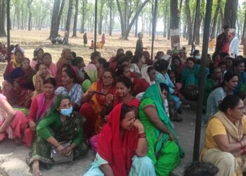 सालघारीका मजदुर सुकुमबासीले भने, ‘हामीहरुको उचित व्यवस्थापन गरिदेउ’