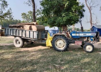 पुनर्वासमा तस्करको काठ सशस्त्र प्रहरीको फन्दामा