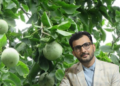 सामाजिक अभियानता जोशीद्वारा बेलडाँडीको पहिचान र बेलखेतिको प्रवर्द्धनका लागि १००/- रुपैया अभियान संचालन