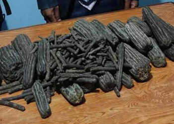 पाँच किलो चरेश सहित दुई युवक पक्राउ