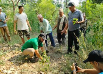बेलडाँडीमा बेलखेती अभियान : पहिलो चरणमा साढे चारसय बिरुवा रोपिए