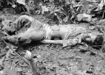 हात्तीको आक्रमणबाट बेलौरीका उमेश चौधरीको मृ*त्यु