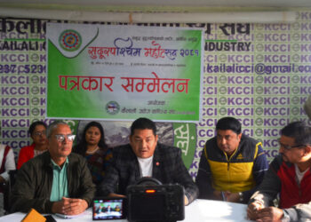 धनगढीमा मंसिर २२ देखी महोत्सव लाग्दै