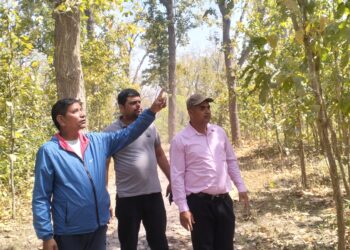चुरे क्षेत्रका वनका पदाधकारीद्वारा वन व्यवस्थापन भएको सिता सामुदायिक वनमा अनुगमन