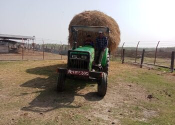 गौसंरक्षणमा मानवता हराउँदै, समाजसेवी चौधरीद्वारा झिलमिला गौशालालाई पराल सहयोग