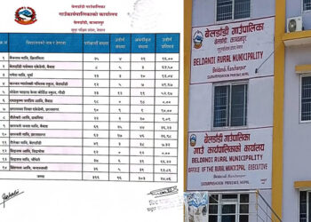 बेलडाँडीमा आधारभूत तह (कक्षा ८) परीक्षाको नतिजा सार्वजनिक, सामुदायिक विद्यालयको बिजोग