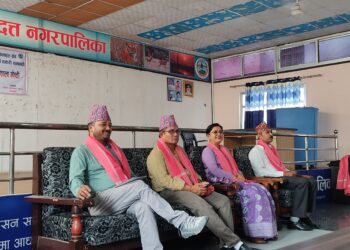 भीमदत्तमा संचारकर्मी तथा सरोकारवाला विच विपद् पूर्व तयारी कार्यशाला गोष्ठी सम्पन्न