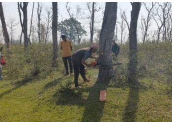 दोधारा चाँदनीमा सुख्खा बन्दरगाह निर्माण सुरु