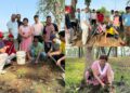 महेन्द्रनगरमा गणतन्त्र दिवसको अवसरमा वृक्षारोपण