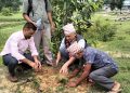 कञ्चनपुरमा बृक्षारोपण सप्ताह शुरु : ५० हजार बिरुवा रोपिने
