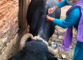 बेलडाँडी-५ मा खोरेत रोगविरुद्ध खोप अभियान : मंसिर १४ देखि २२ गतेसम्म भ्याक्सिन टोली तोकिएका टोल-टोलमा पुग्ने