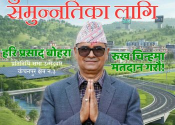 ४० वर्षे त्यागको प्रतिफल : कञ्चनपुर-३ मा काँग्रेसका बलिया उम्मेदवार हरि प्रसाद बोहरा