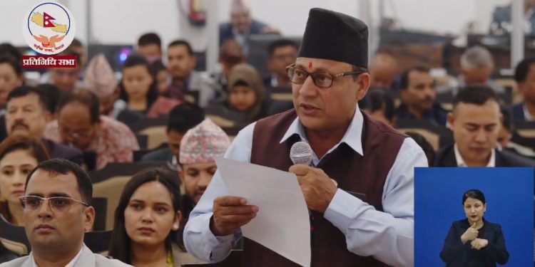 दैजी-बेलडाँडी सडकमा बाघ आक्रमणको घटना सदनमा गुञ्जियो, समाधानको आशामा स्थानीय